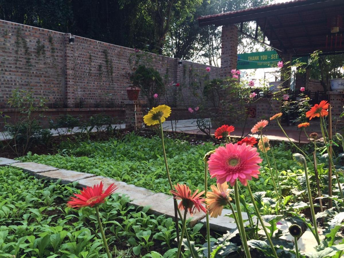 Tam Coc Craft Homestay Ниньбинь Номер фото